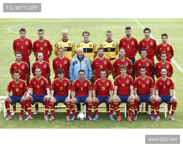 2012欧洲杯国家杯（2012年 欧洲杯）sports