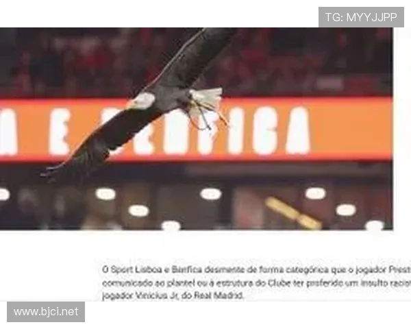 ✅体育直播🏆世界杯直播🏀NBA直播⚽- 浔江特大桥建设者与他的桥梁情缘- sports